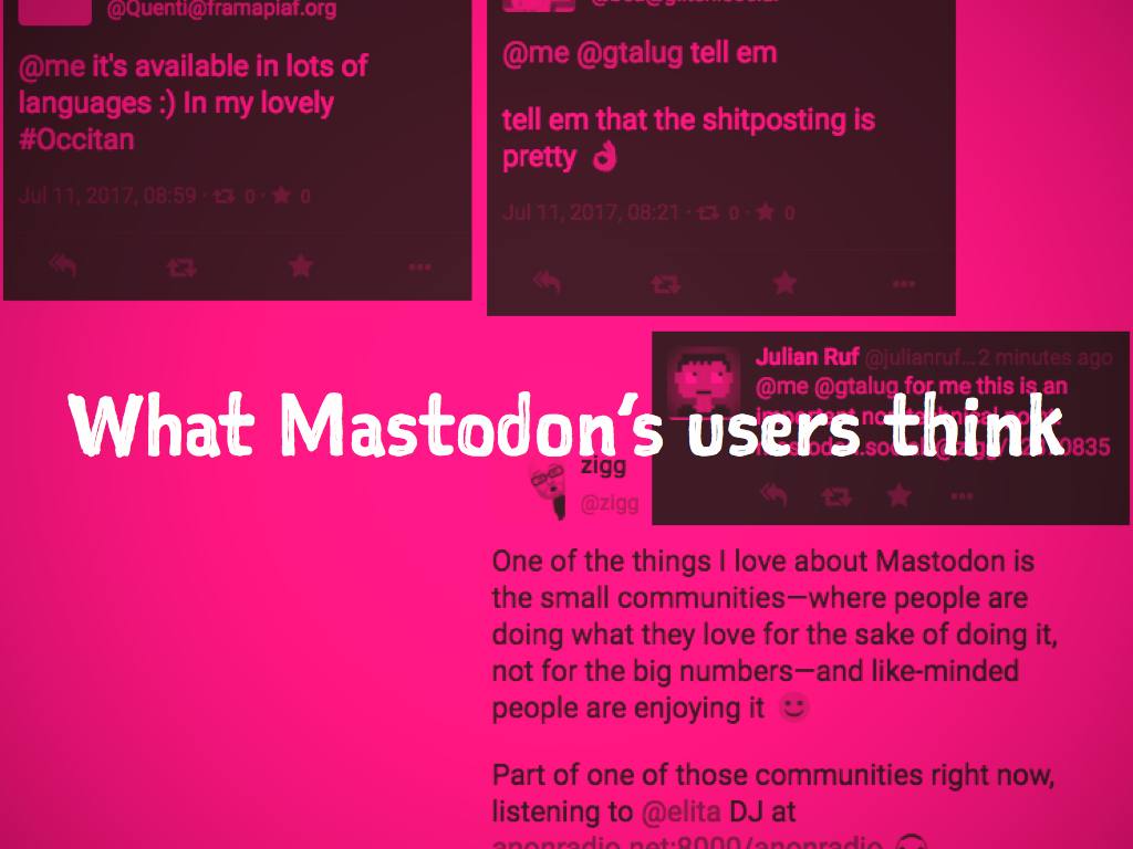 What Mastodon's users think